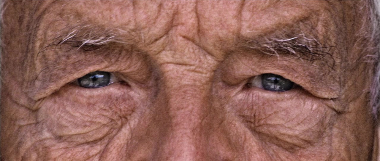 Wyeth screenshot 2