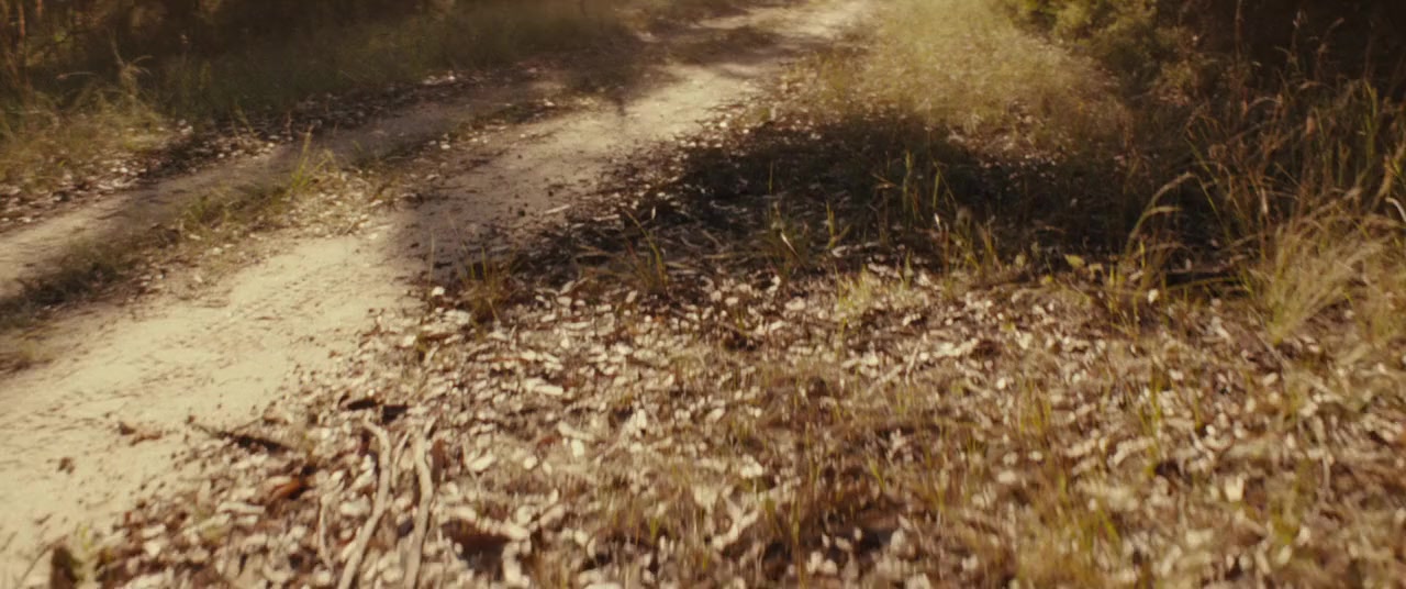 Wyrmwood: Apocalypse screenshot 1
