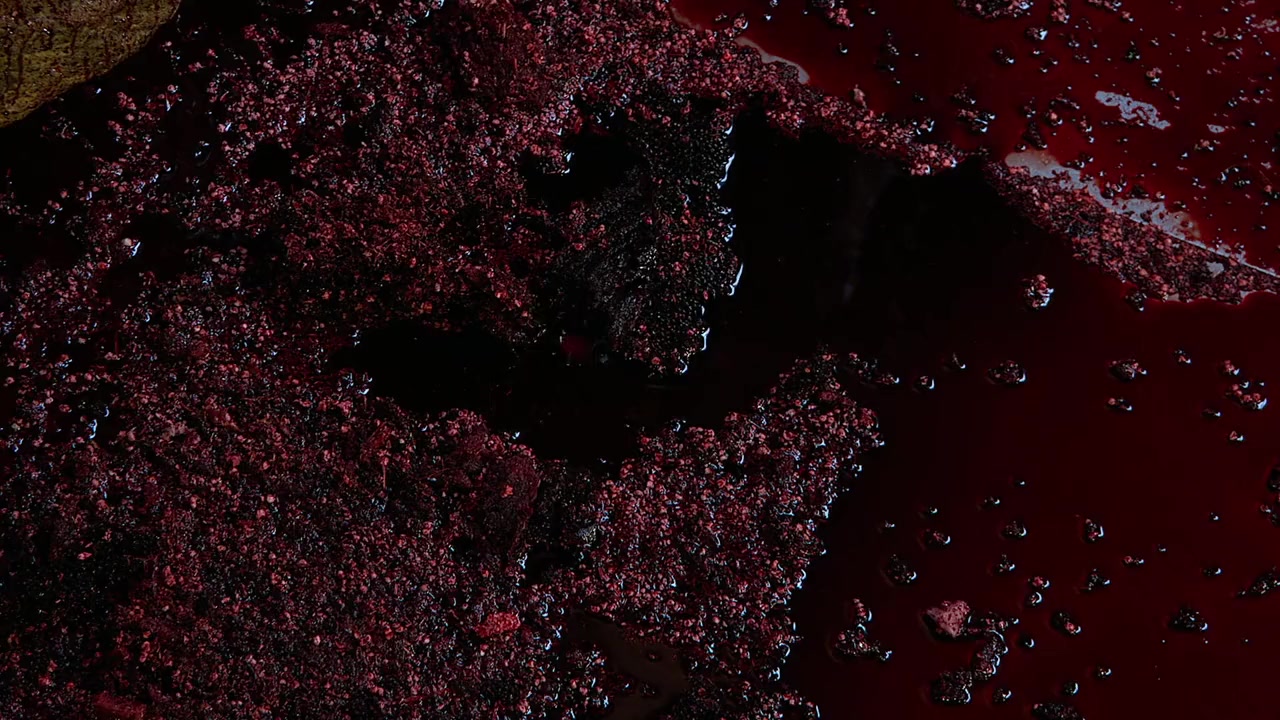 T. Rex Autopsy screenshot 1