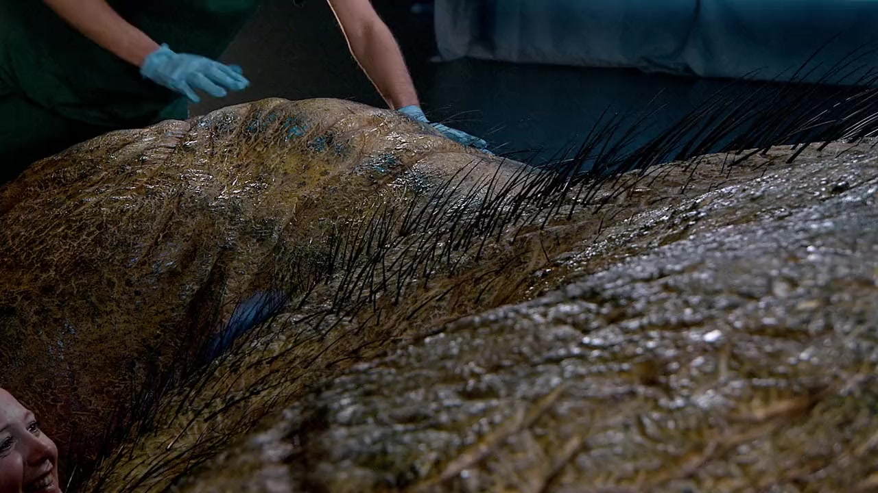 T. Rex Autopsy screenshot 3