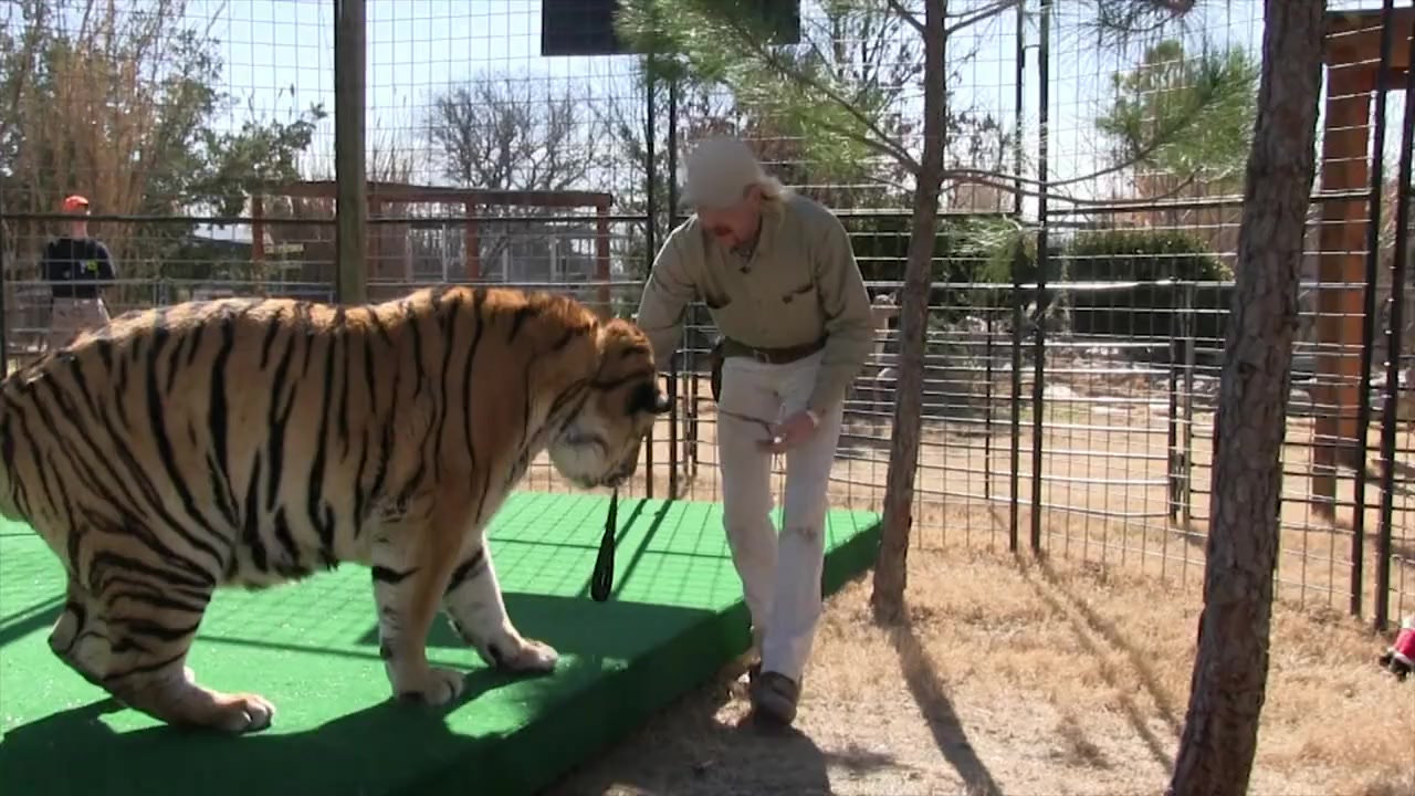 TMZ Investigates: Tiger King - What Really Went Down? screenshot 1