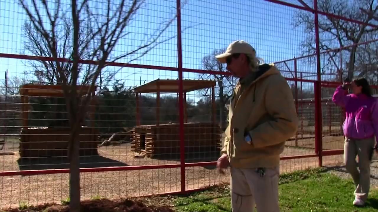 TMZ Investigates: Tiger King - What Really Went Down? screenshot 2