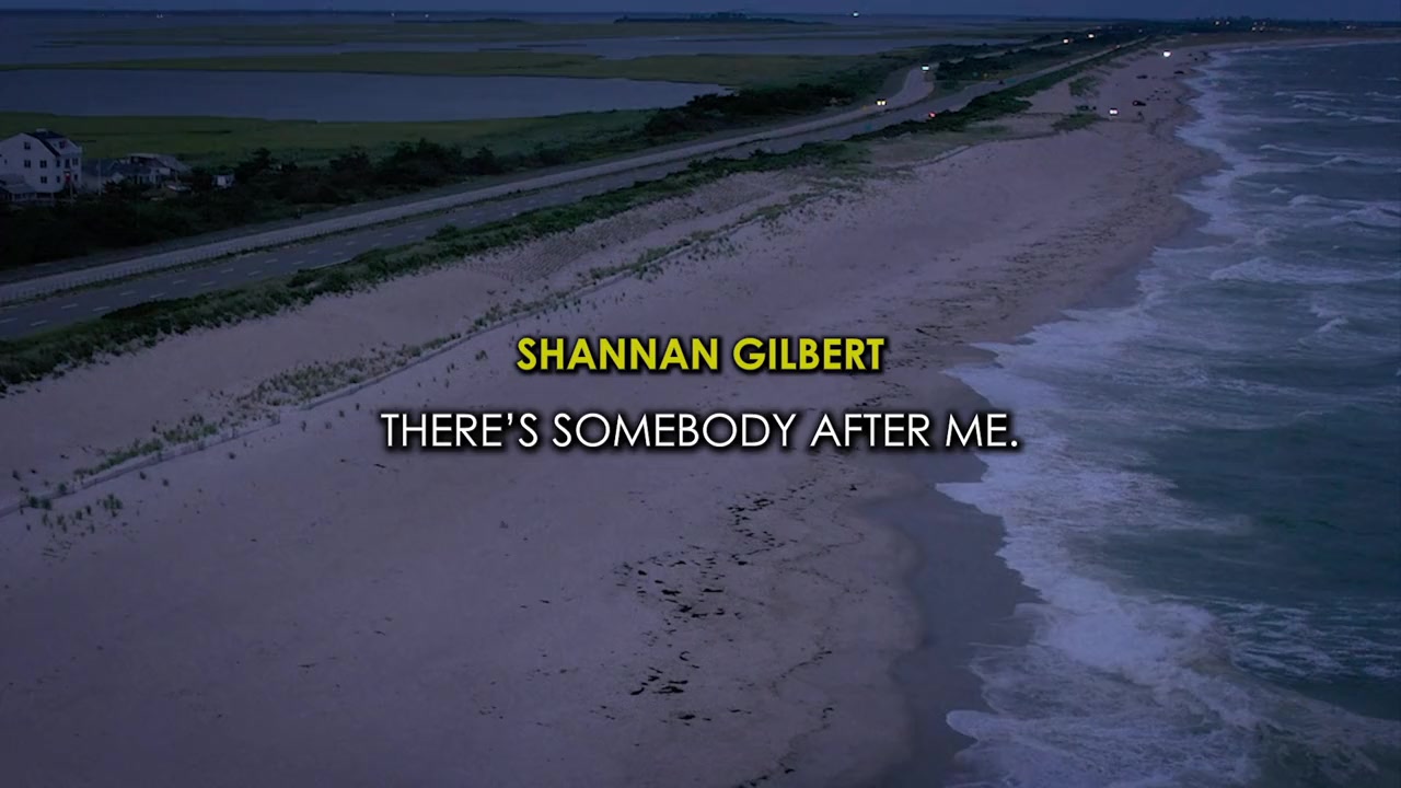 TMZ Investigates: Gilgo Beach Serial Murders: Missed Warning Signs screenshot 1