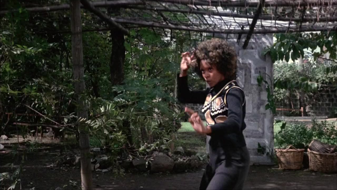 TNT Jackson screenshot 1