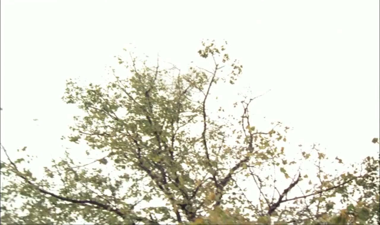Tôt ou tard screenshot 3
