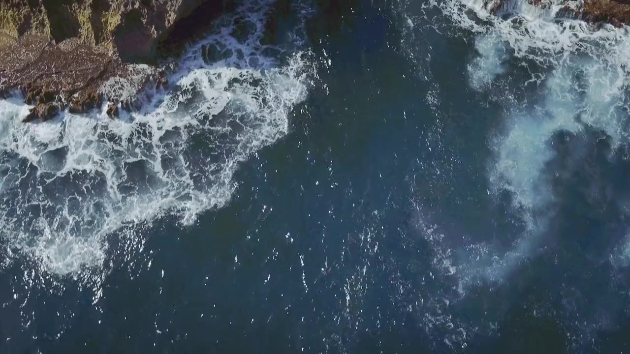 Toxic Shark screenshot 1