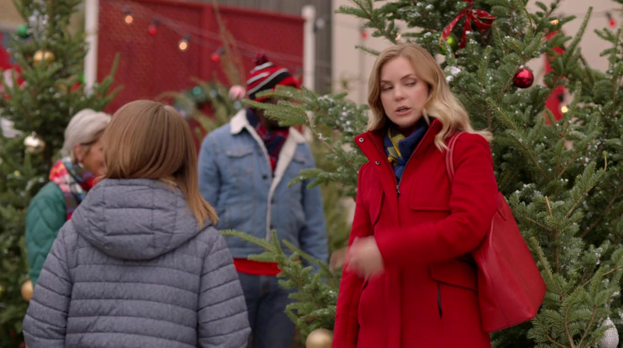 The Holiday Train screenshot 3