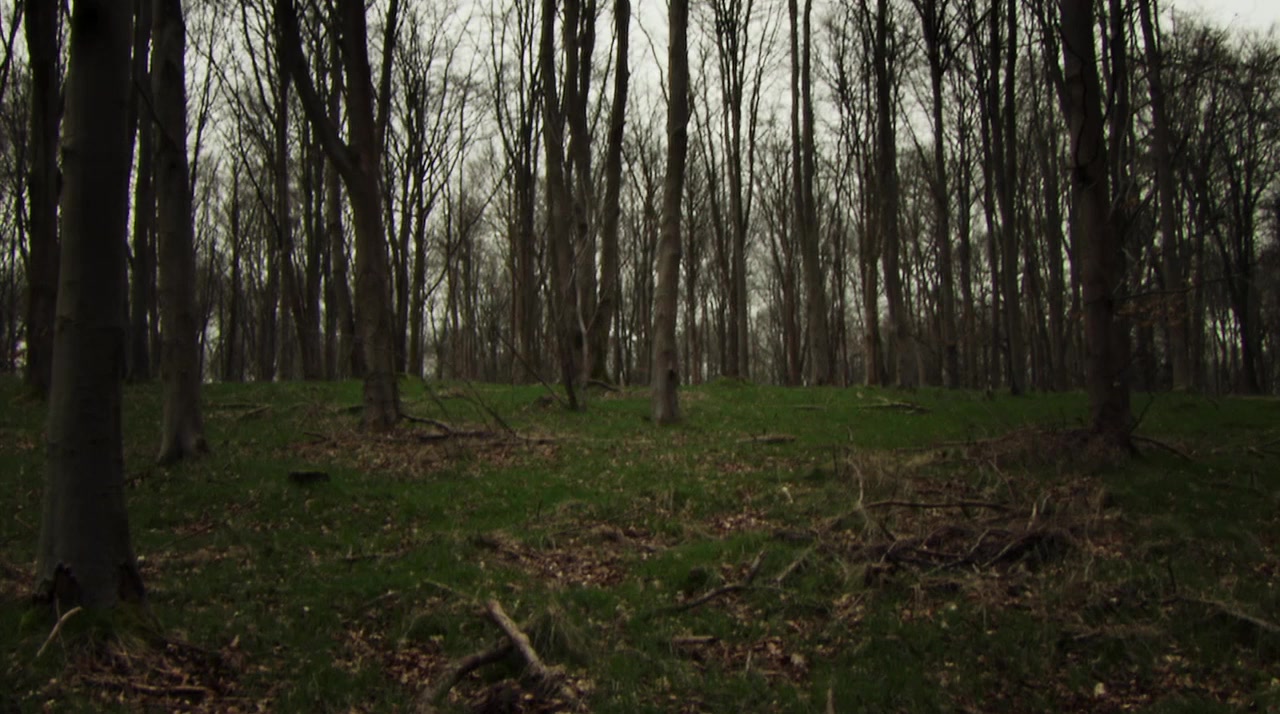 To Catch a Serial Killer with Trevor McDonald screenshot 1