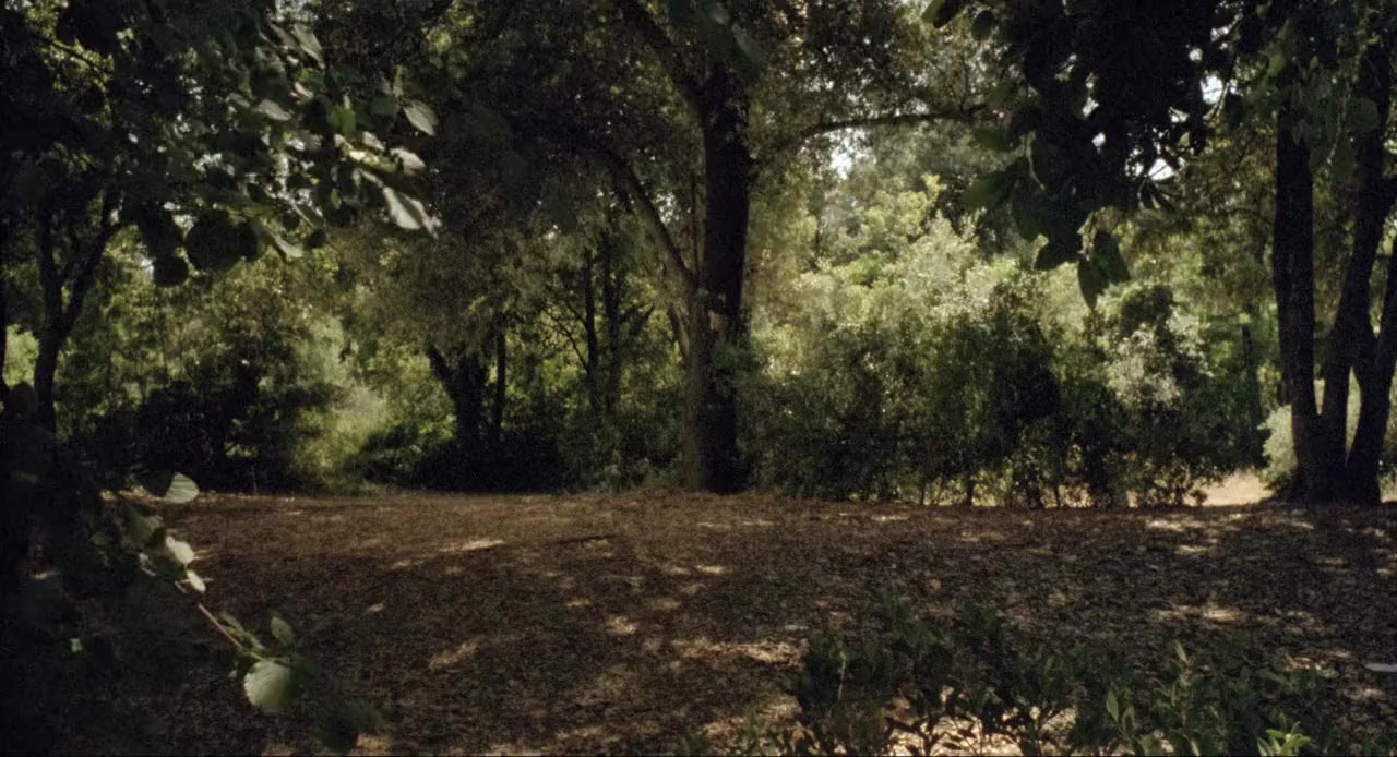 Avere vent'anni screenshot 1