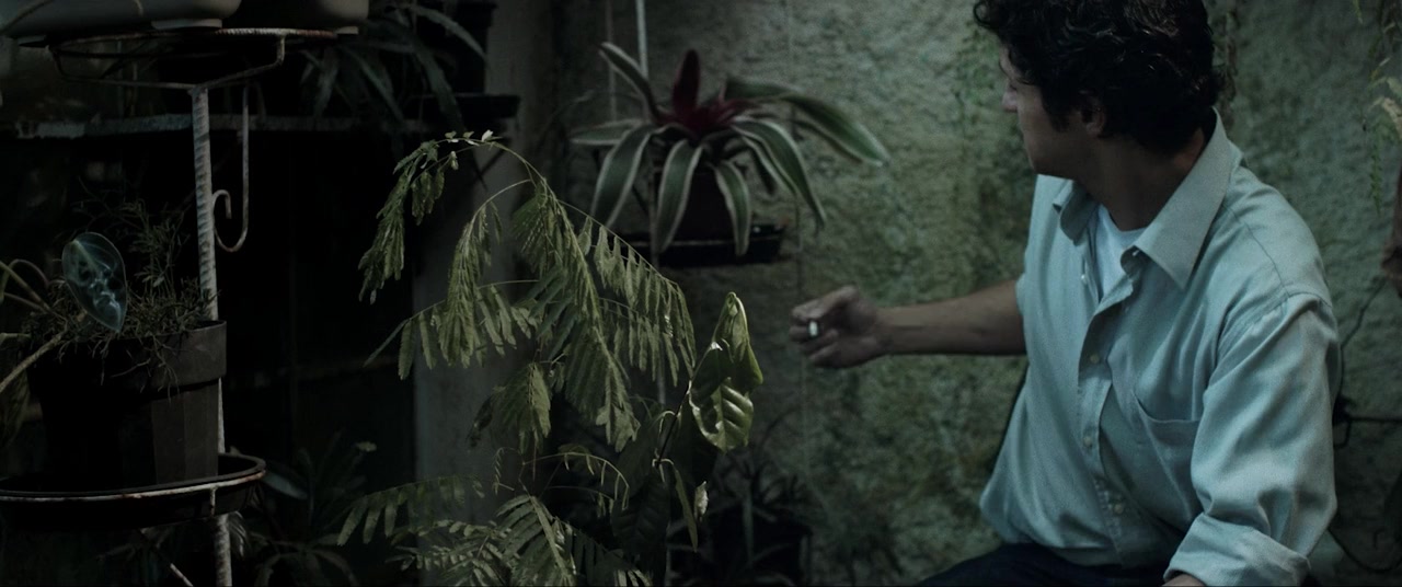 Para Minha Amada Morta screenshot 3