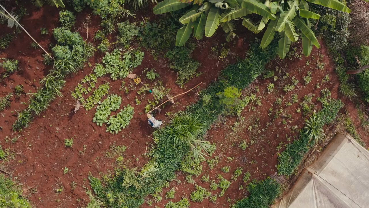 To Which We Belong screenshot 1