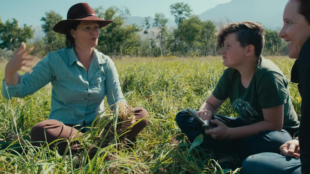 To Which We Belong screenshot 2