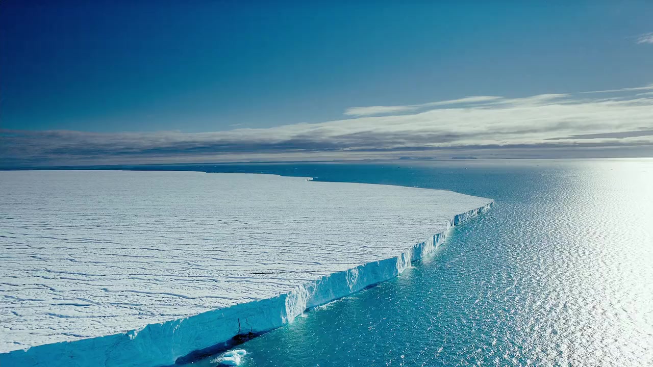To the Arctic 3D screenshot 1