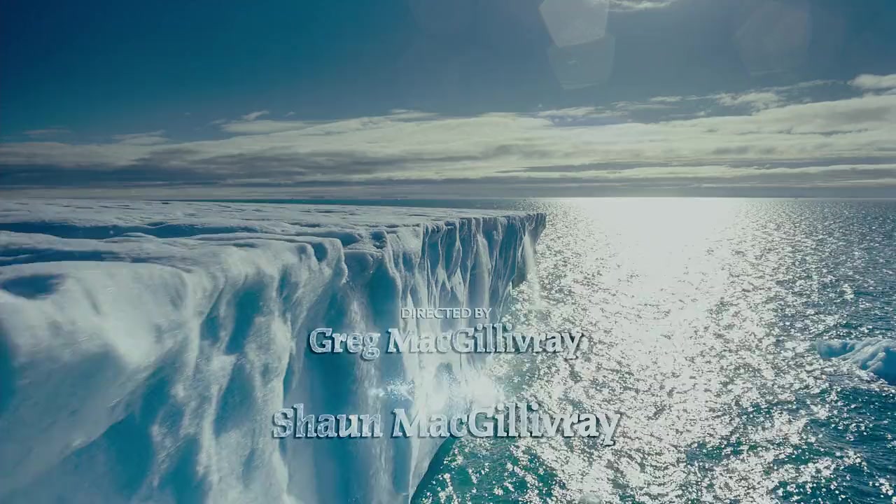 To the Arctic 3D screenshot 3