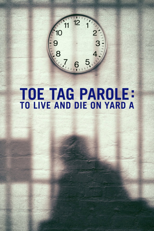 Toe Tag Parole: To Live and Die on Yard A (2015) poster