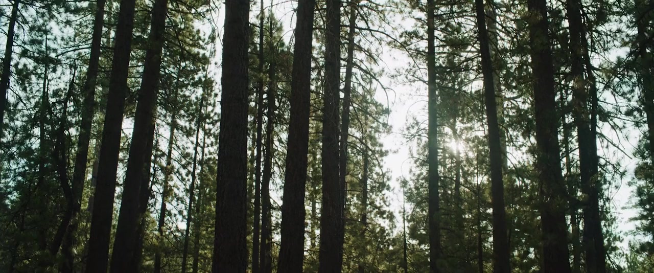 Together screenshot 1
