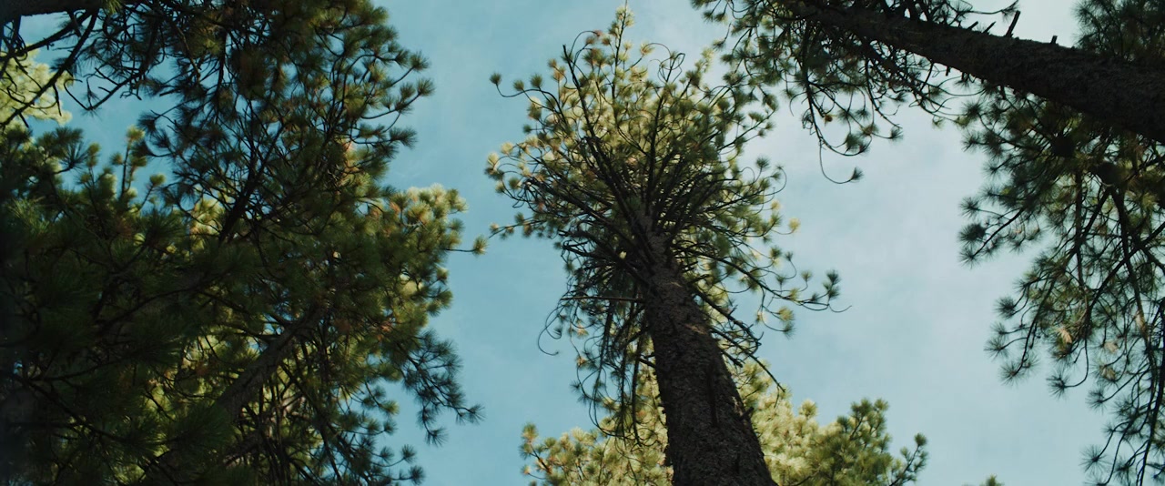Together screenshot 2