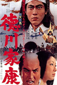 Tokugawa Ieyasu (1965) poster