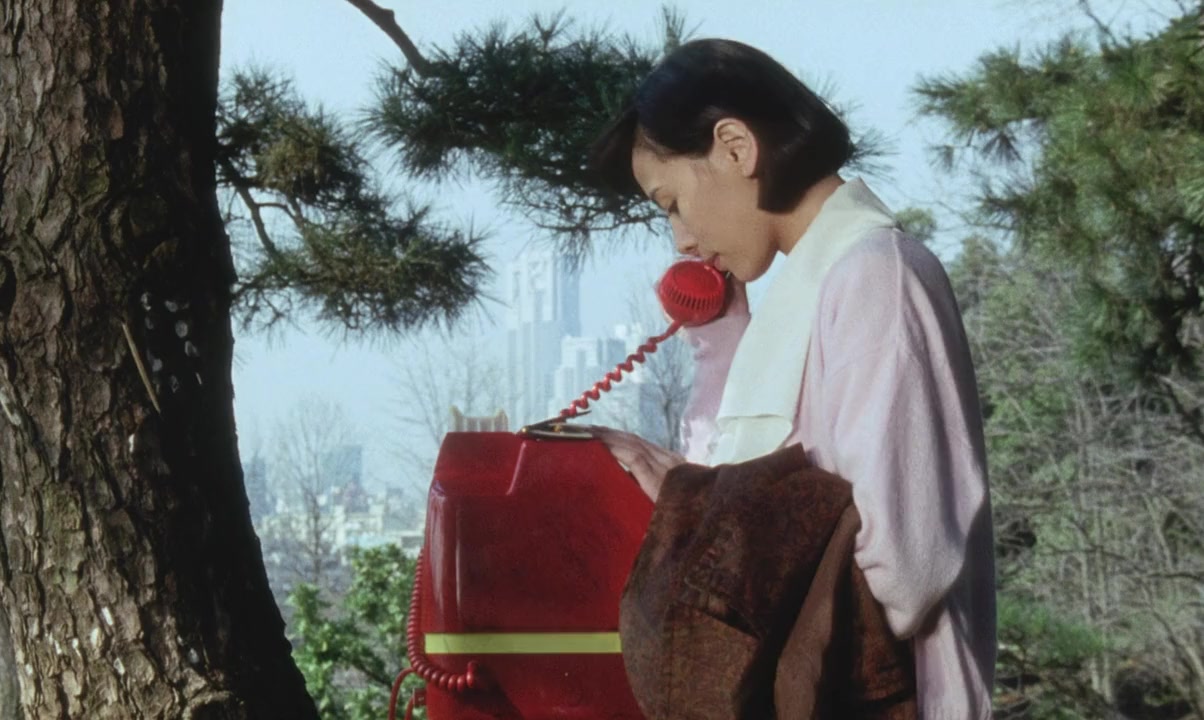 Topâzu screenshot 2