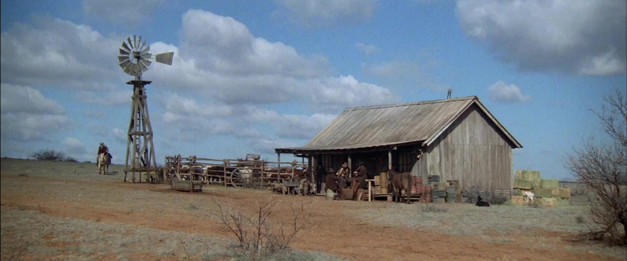 Tom Horn screenshot 3