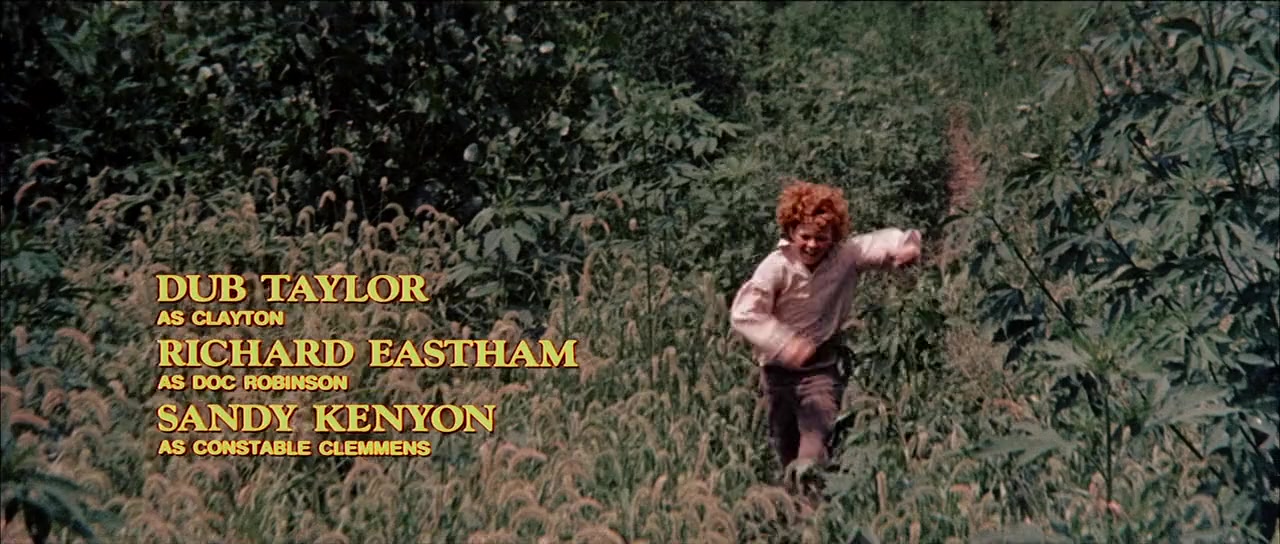 Tom Sawyer screenshot 1