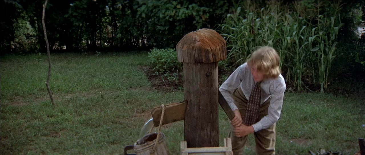 Tom Sawyer screenshot 2