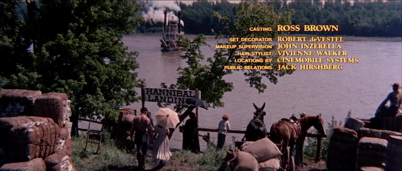 Tom Sawyer screenshot 3