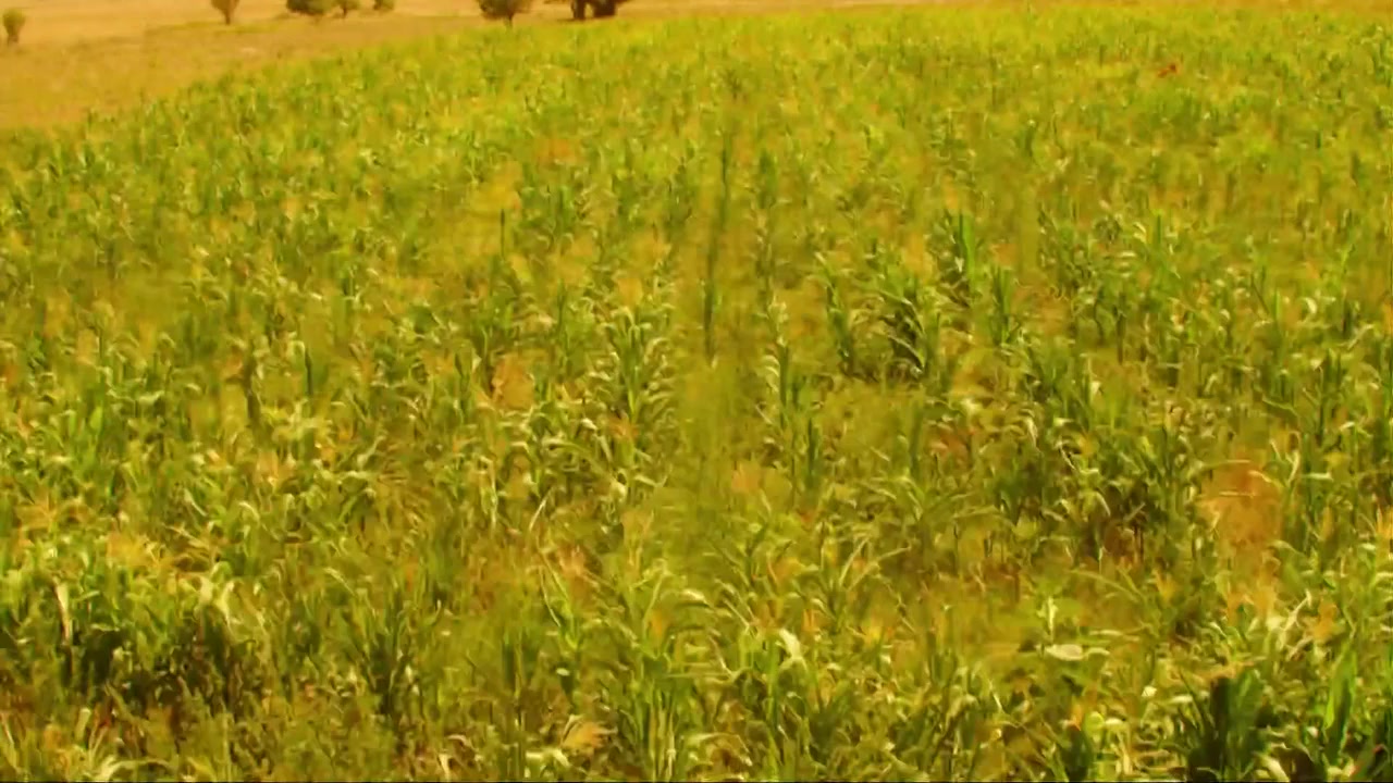 Tom Sawyer & Huckleberry Finn screenshot 1