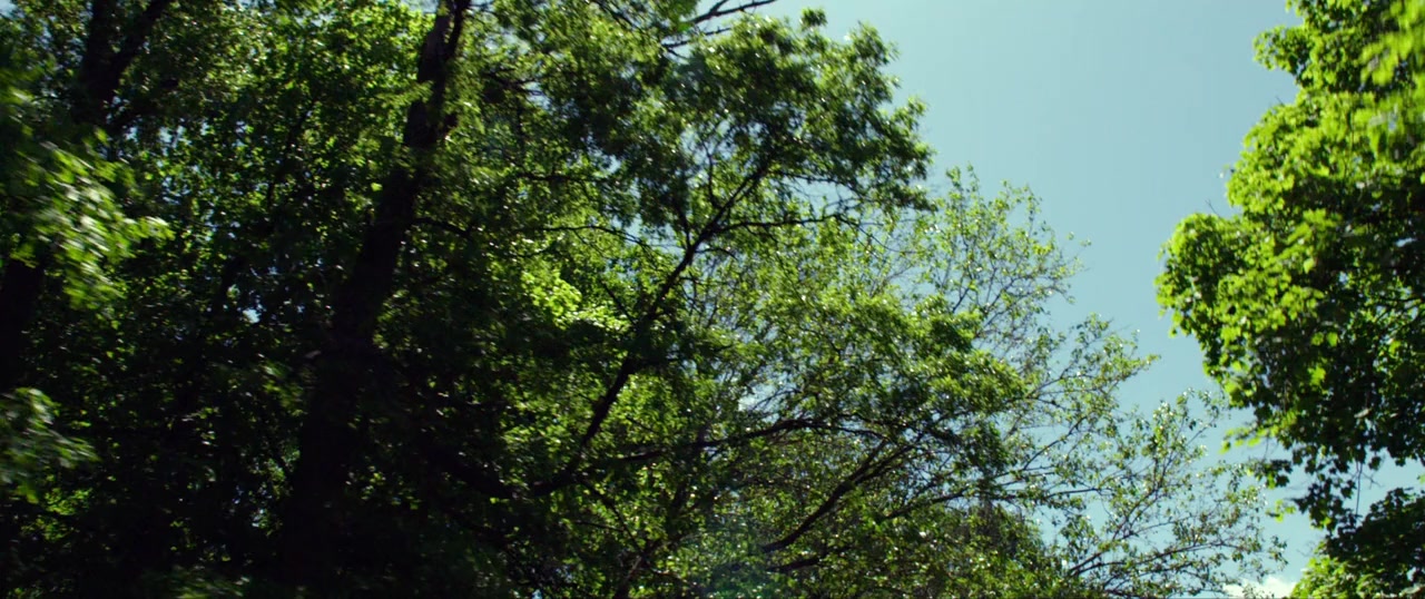 Demain screenshot 1