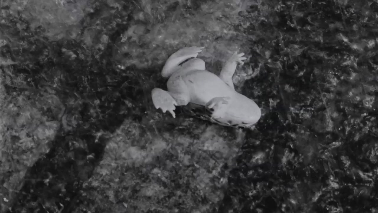 Tomorrow Night screenshot 1
