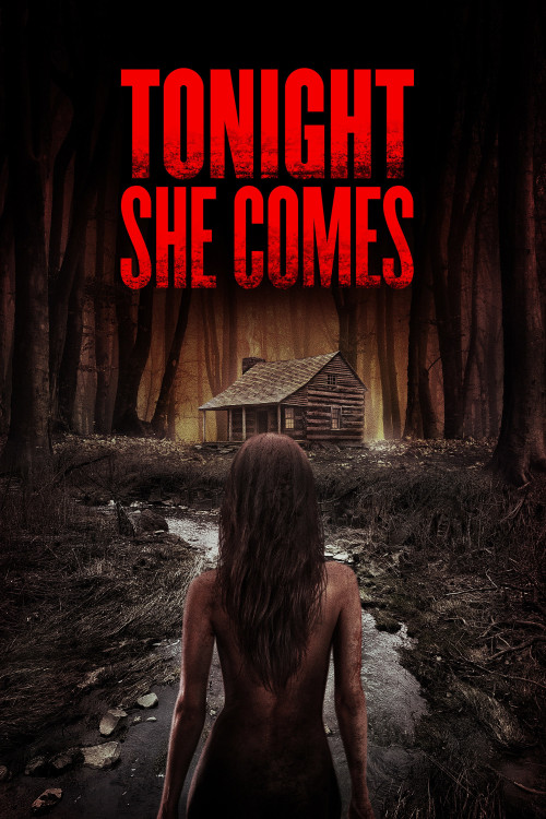 Tonight She Comes (2016) poster