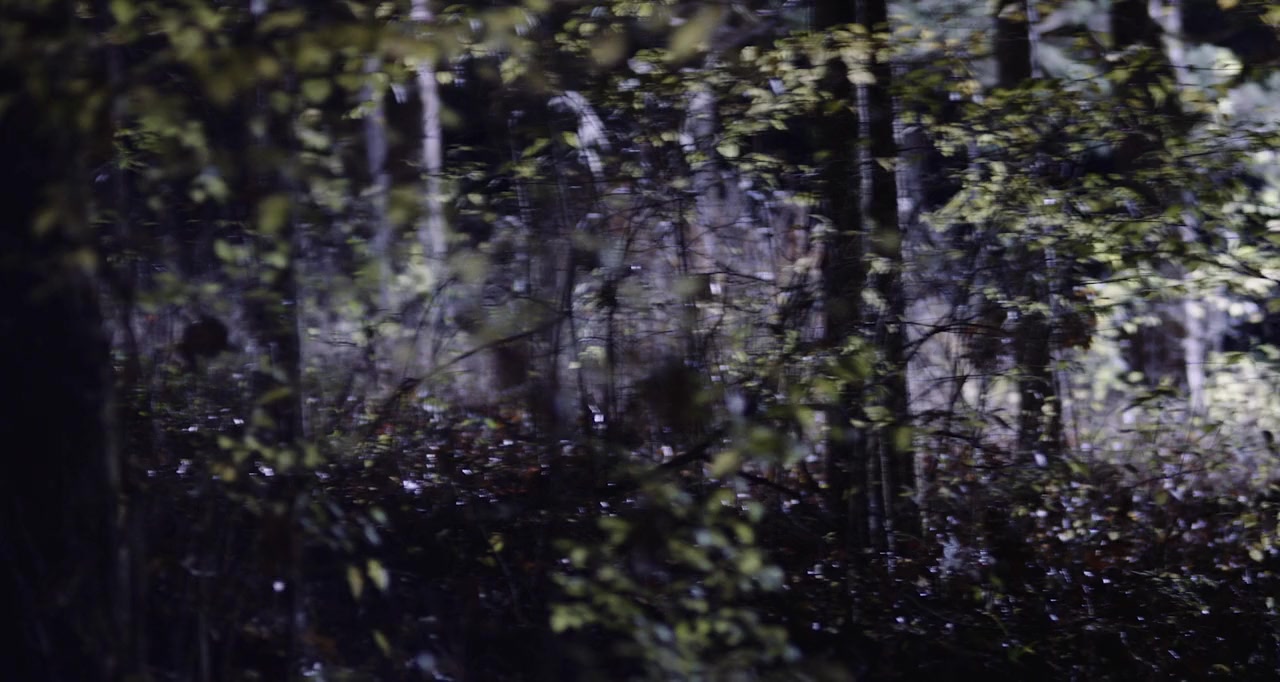 Tonight She Comes screenshot 2
