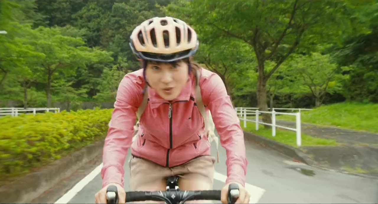 Tori gâru! screenshot 2