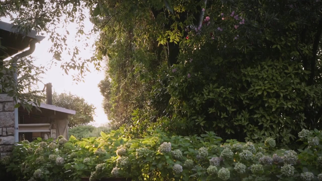 Tata screenshot 1