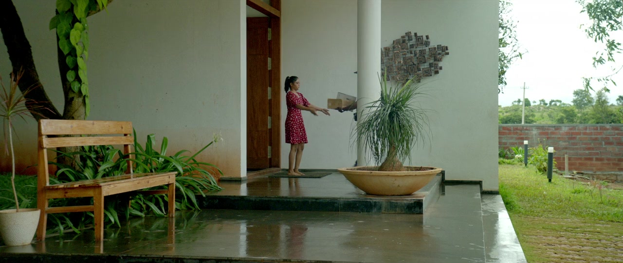 Tatsama Tadbhava screenshot 2