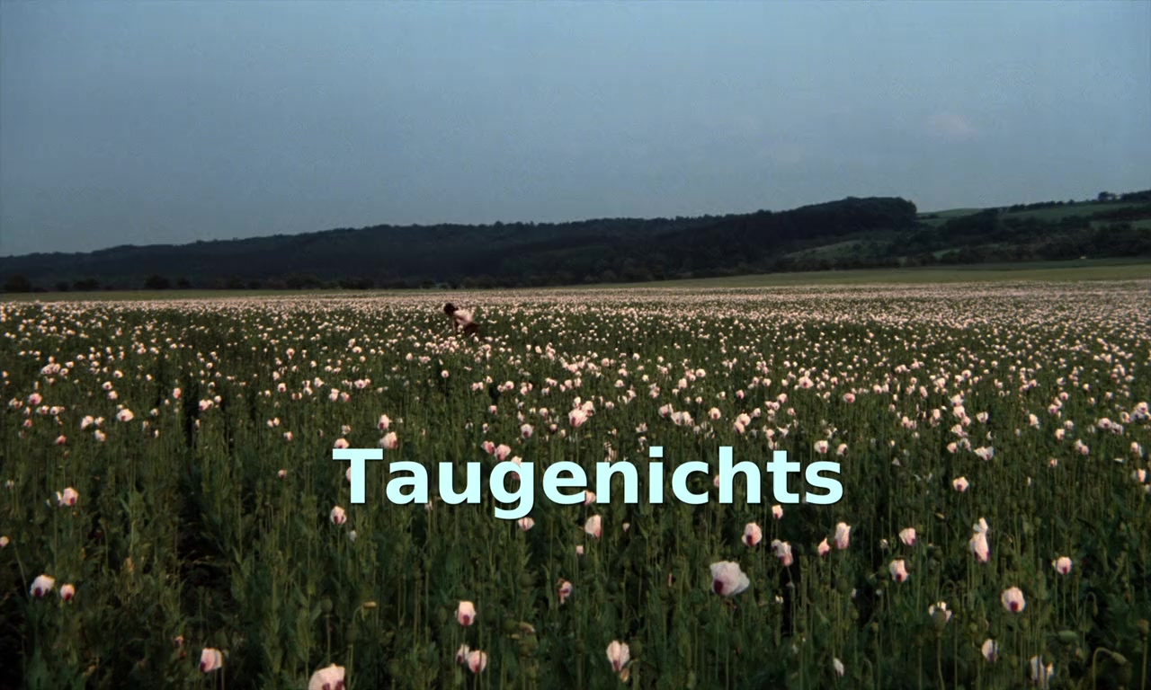 Taugenichts screenshot 1