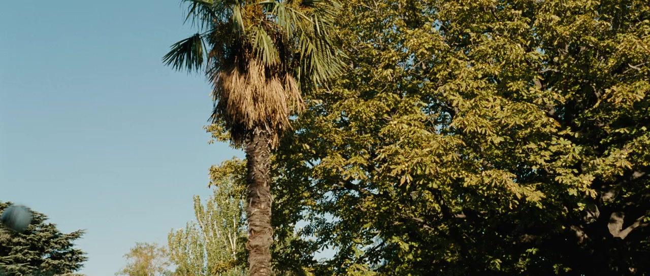 Taxi 4 screenshot 1