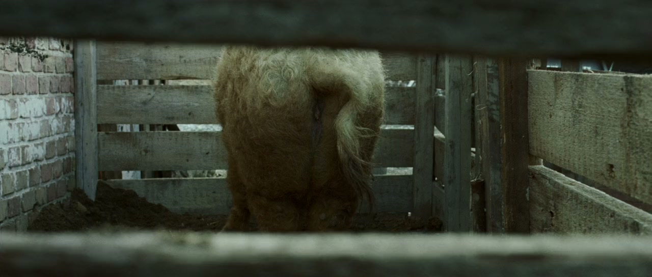 Taxidermia screenshot 1