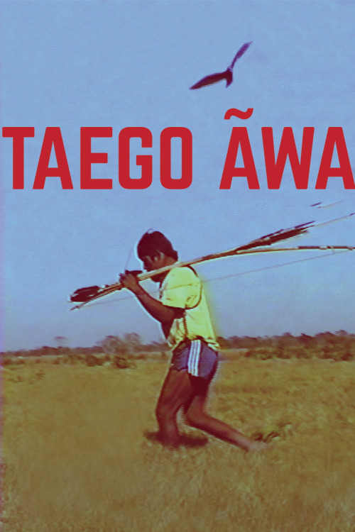 Taego Ãwa (2016) poster