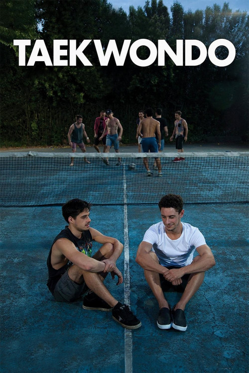 Taekwondo (2016) poster