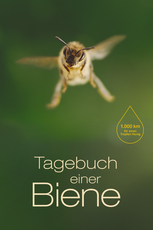 Tagebuch einer Biene (2020) poster