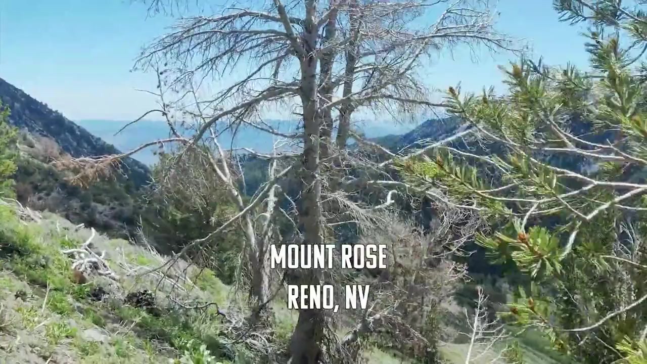 Tahoe Joe screenshot 2