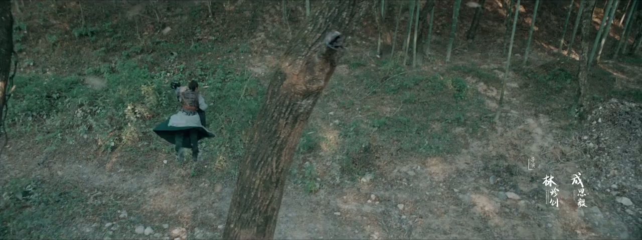 Zhang San Feng screenshot 2