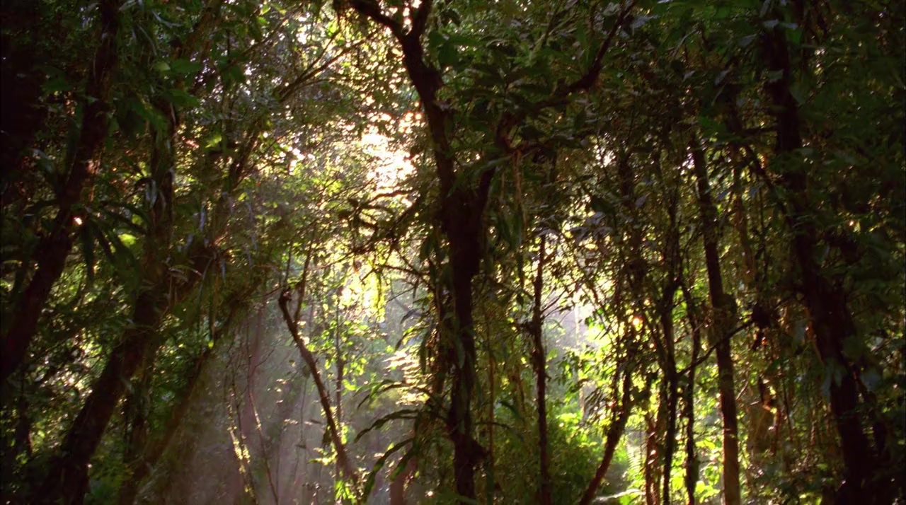 Tainá 2: A Aventura Continua screenshot 2