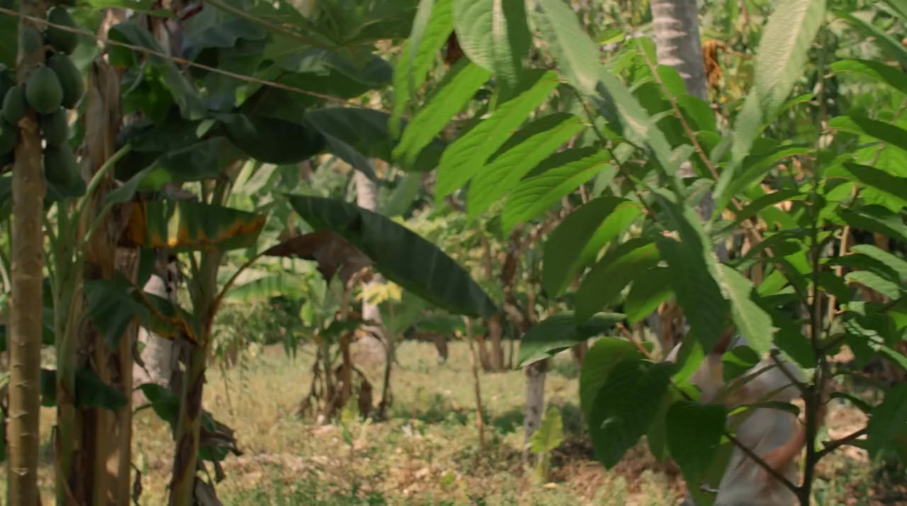 Take Home Pay screenshot 1