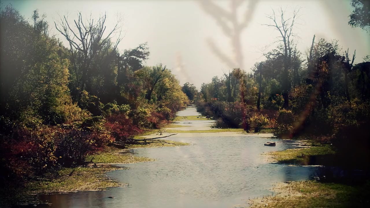 Take Me to the River screenshot 2