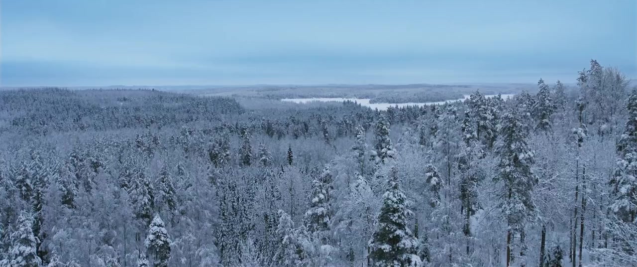 Järven tarina screenshot 2