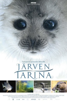 Järven tarina (2016) poster