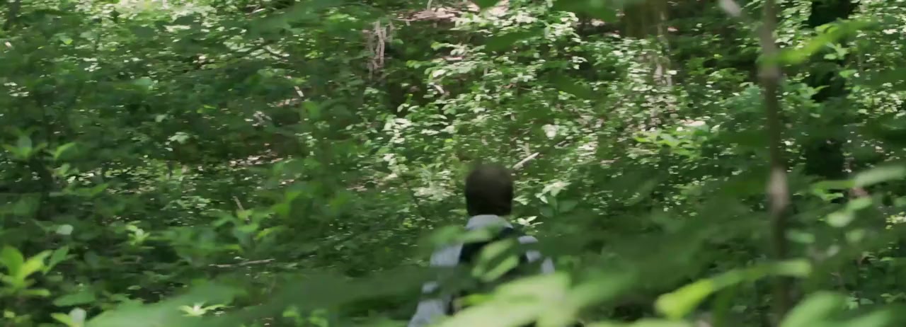Taller Than the Trees screenshot 2