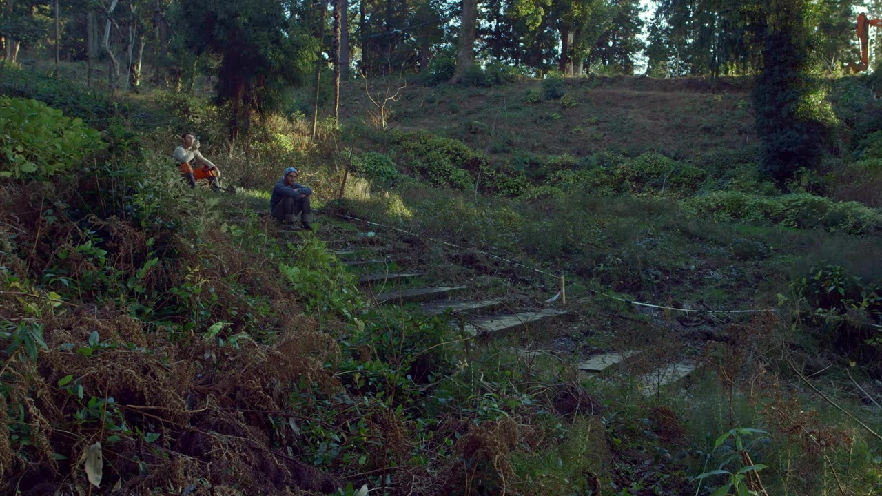 Taming the Garden screenshot 1